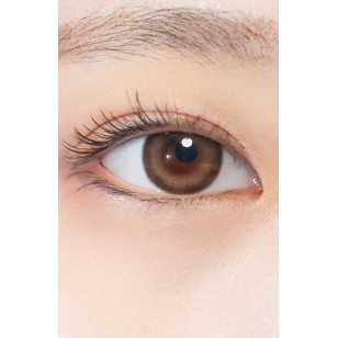 Hapa Kristin 1Day — One&Only Kristin Big Plus(13.8) Brown 日抛 10片裝